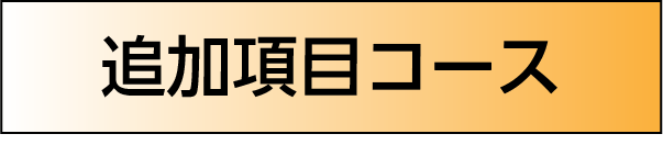 ［追加項目コース］